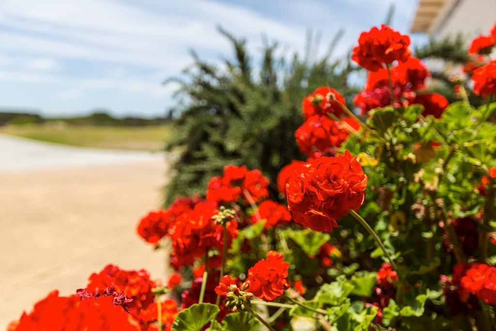 פורט פיירי Wytonia Beachfront Accommodation מראה חיצוני תמונה